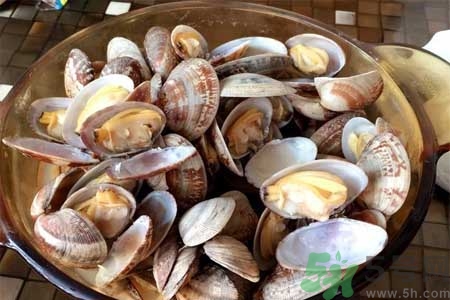 蛤蜊的食用方法有哪些？蛤蜊的營(yíng)養(yǎng)價(jià)值是什么？