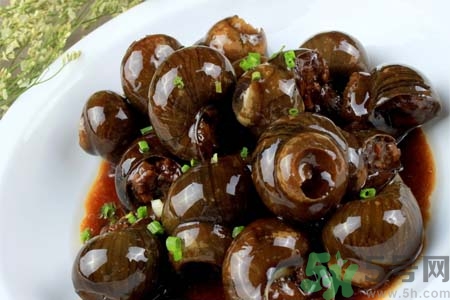 田螺肉怎樣做？田螺的營(yíng)養(yǎng)價(jià)值有哪些？