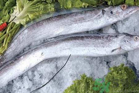 帶魚怎么洗？帶魚如何處理？