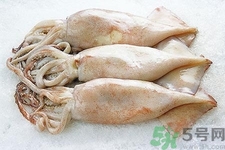 魷魚怎么處理？干魷魚怎么泡發(fā)？