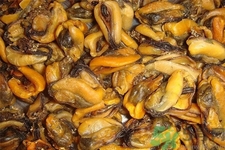 淡菜是什么？淡菜的營(yíng)養(yǎng)價(jià)值有哪些？