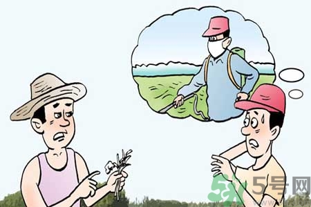怎么洗掉水果上的農(nóng)藥？農(nóng)藥殘留的危害有哪些？