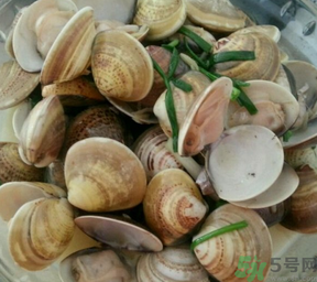 孕婦可以吃文蛤嗎？文蛤的功效與作用