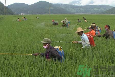 如何去除蔬菜上農(nóng)藥殘留？清洗農(nóng)藥小竅門有哪些？