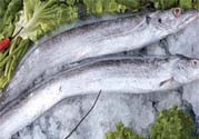 凍帶魚(yú)怎么解凍？帶魚(yú)內(nèi)臟怎么洗？