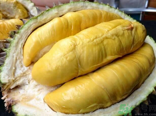 金枕頭榴蓮和普通榴蓮有什么區(qū)別？金枕頭榴蓮怎么挑？