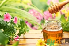 蜂蜜不能和什么一起吃？哪些人不能吃蜂蜜？