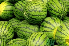 西瓜牛奶可以一起吃嗎？西瓜牛奶怎么做好吃？