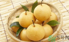娃娃梨是怎么種出來的？娃娃梨為什么外形像娃娃？