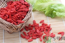枸杞子泡酒怎么泡？枸杞酒的制作方法是什么？