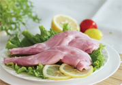 兔肉不能和什么一起吃？什么人不能吃兔肉？