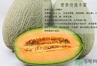 西州蜜瓜怎么吃？西州蜜瓜的食用方法
