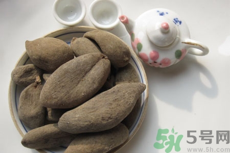 五倍子能治早泄嗎？五倍子的副作用有哪些？