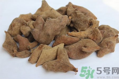 五倍子能治早泄嗎？五倍子的副作用有哪些？