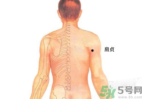 肩周炎艾灸有用嗎？肩周炎艾灸哪些部位？