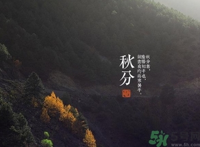 秋分吃什么？秋分吃什么水果？