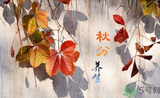 秋分吃什么？秋分吃什么水果？