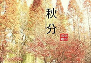 秋分出生的人怎么起名？秋分出生的人的命運？