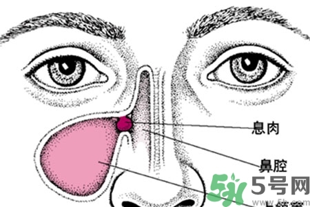 鼻子不通氣是怎么回事？鼻子不通氣怎么辦？