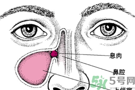 鼻子出血怎么辦？鼻子出血的原因是什么？