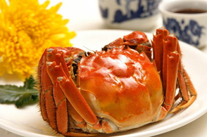 螃蟹什么季節(jié)最好吃？螃蟹幾月份吃最好？