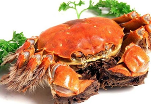 螃蟹什么季節(jié)最好吃？螃蟹幾月份吃最好？