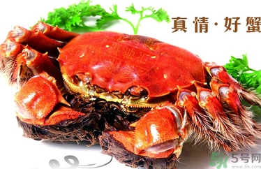 螃蟹什么時(shí)候吃最好？吃螃蟹的最佳時(shí)間 