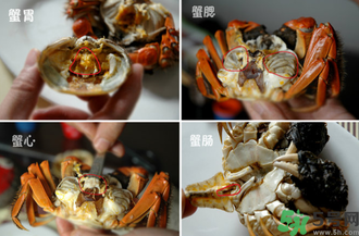 陽澄湖大閘蟹怎么吃？食陽澄湖大閘蟹注意事項