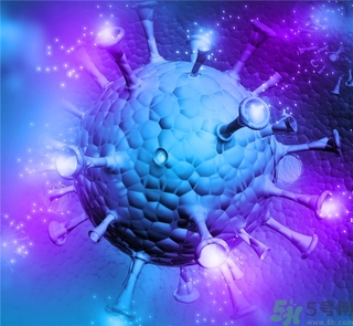 寨卡病毒蚊子如何預防？怎么預防寨卡病毒蚊子？