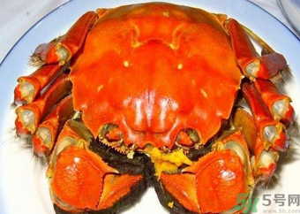 大閘蟹什么季節(jié)吃最好？吃大閘蟹的季節(jié)