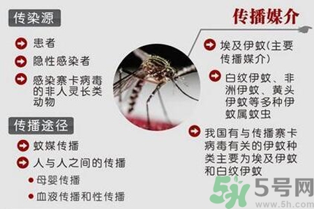 寨卡病毒是如何傳播的？寨卡病毒傳播途徑是什么？