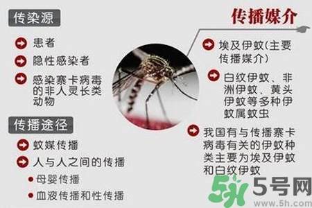 寨卡病毒會死人嗎？寨卡病毒會死嗎？