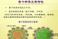 寨卡病毒對孕婦有危害嗎？寨卡病毒對孕婦的危害有哪些？