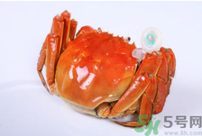 陽澄湖大閘蟹怎么做好吃？陽澄湖大閘蟹的做法