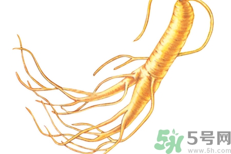 人參怎么吃效果最好？人參的做法大全
