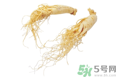 人參怎么吃效果最好？人參的做法大全