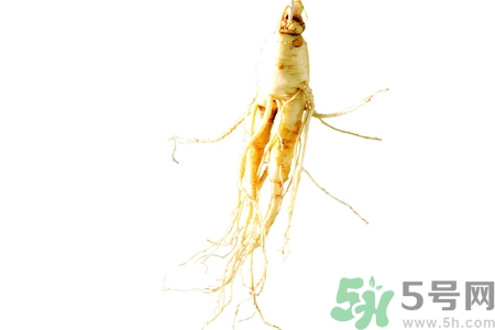 人參怎么吃效果最好？人參的做法大全