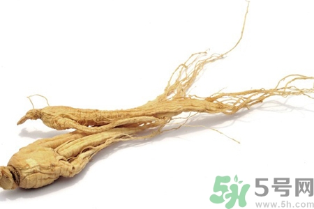 人參怎么吃效果最好？人參的做法大全