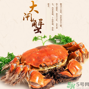 梁子湖大閘蟹什么時(shí)候上市？梁子湖大閘蟹上市時(shí)間