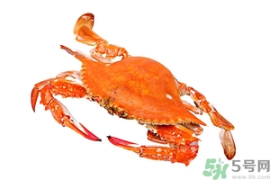 懷孕期間能吃螃蟹嗎？吃螃蟹會(huì)影響懷孕嗎？
