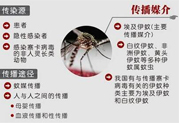 寨卡病毒對(duì)兒童的影響有哪些？寶寶如何避免及預(yù)防？