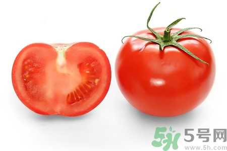 番茄和西紅柿有什么區(qū)別？番茄和西紅柿一樣嗎？