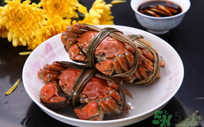 海蟹什么時(shí)候最肥？海蟹什么時(shí)候吃最好？