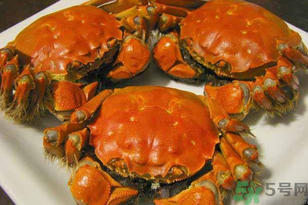 洪澤湖大閘蟹多少錢一斤？洪澤湖大閘蟹價(jià)格
