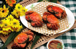 大閘蟹哪個(gè)品牌好？什么牌子的大閘蟹好吃？