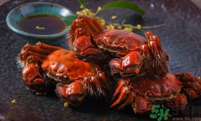 陽澄湖大閘蟹死了還能吃嗎？陽澄湖大閘蟹死了為什么不能吃？