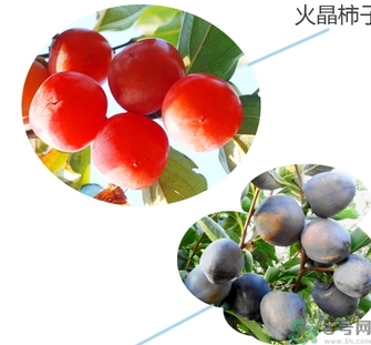 黑柿的營(yíng)養(yǎng)價(jià)值及功效 黑柿怎么吃？