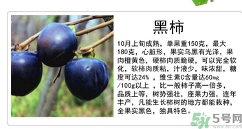 黑柿的營(yíng)養(yǎng)價(jià)值及功效 黑柿怎么吃？