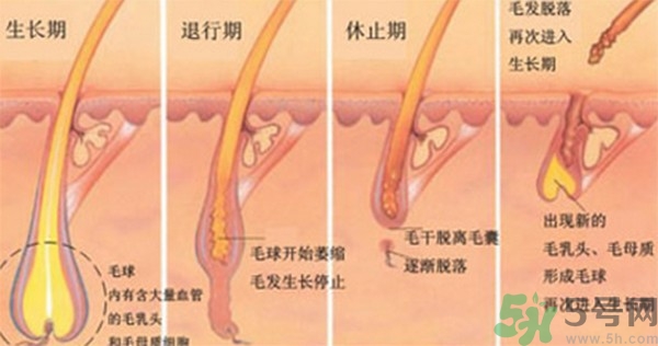 紋眉后要補色嗎？紋眉后多久可以補色？
