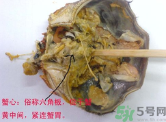 梭子蟹哪些部位不能吃？梭子蟹哪些人不能吃？